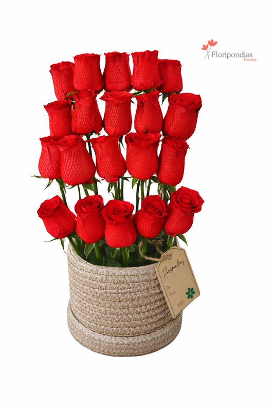 Encanto De Amor – Rosas Rojas en Canasta.