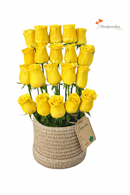 Encanto Solar – Rosas Amarillas en Canasta.