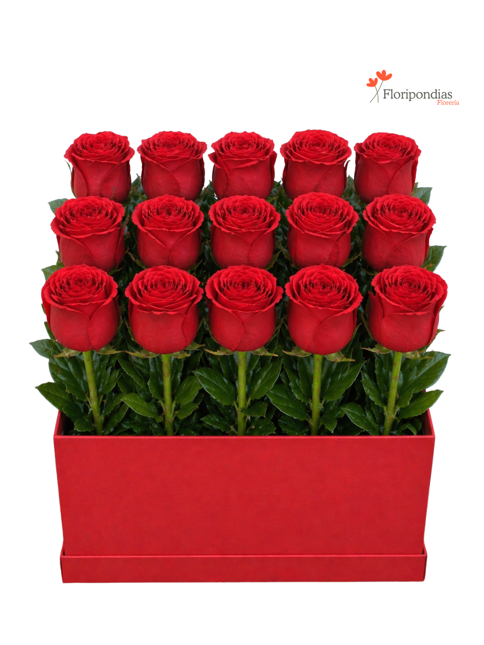 Rojo Top - Box de Rosas Rojas