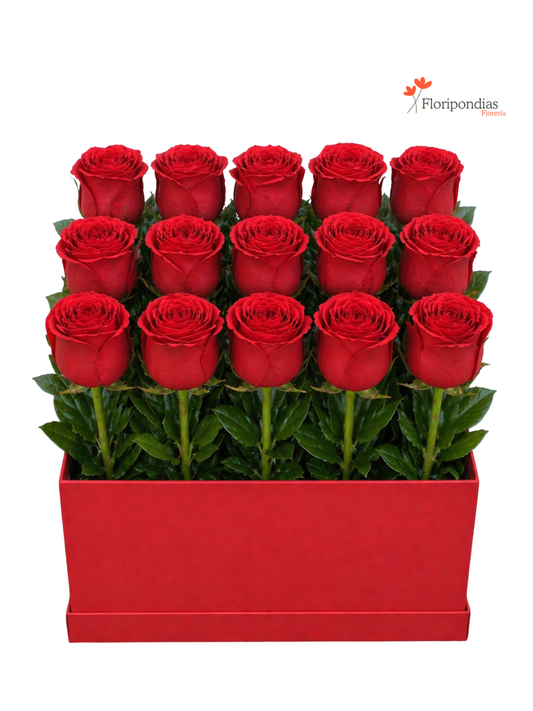 Rojo Top - Box de Rosas Rojas