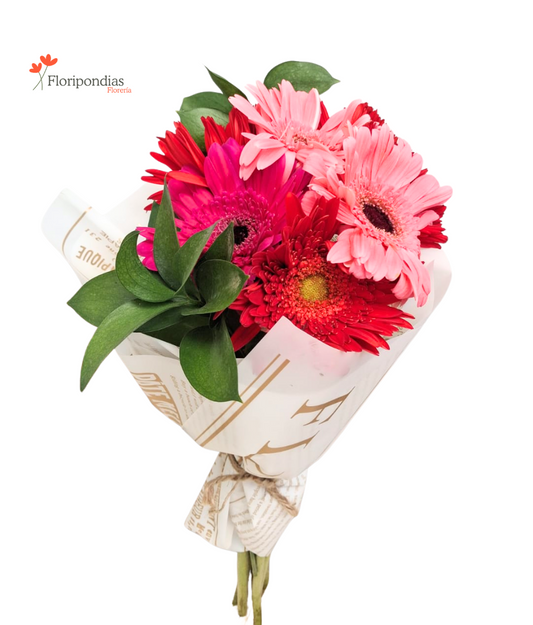 Delirio de Gerberas