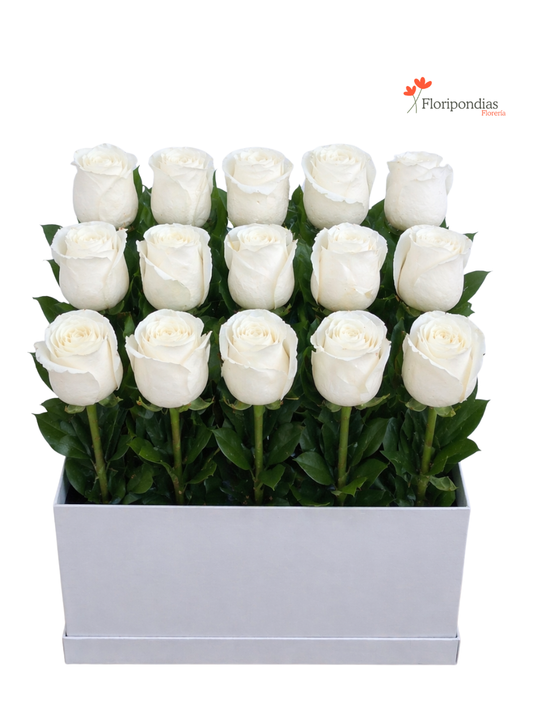 Blanco Top - Box de Rosas Blancas