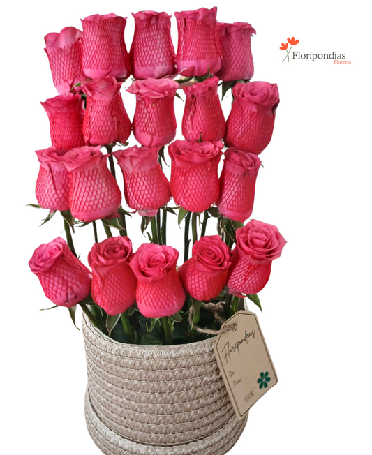 Encanto Rosado – Rosas Rosadas en Canasta.